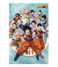 Poster 3d 58x38cm universe survival dragon ball super