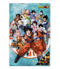 Poster 3d 58x38cm universe survival dragon ball super