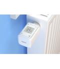 DECT 302 International