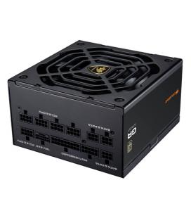 COUGAR CGRGDN-1000 unidad de fuente de alimentación 1000 W 20+4 pin ATX ATX Negro