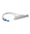 Cabezal bracket startech 4x usb 2.0