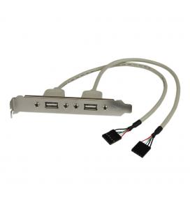 Adaptador placa usb a h 2 puertos