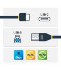 Cable usb tipo c a usb tipo b startech 2m - macho - macho - negro