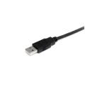 Cable usb tipo a startech 2m - macho - macho - negro