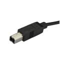 Cable usb tipo c a usb tipo b startech 2m - macho - macho - negro