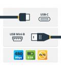 Cable usb tipo c a mini usb tipo b startech 2m - macho - macho - negro
