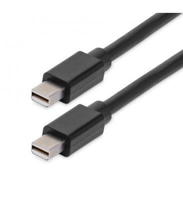 Cable mini dp 8k startech 2m - macho - macho - negro