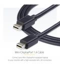 Cable mini dp 8k startech 2m - macho - macho - negro