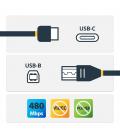Cable usb tipo c a usb tipo b startech 0.5m - macho - macho - negro