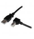 Cable usb tipo a ausb tipo b startech 2m - macho - macho - negro