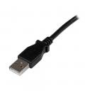 Cable usb tipo a ausb tipo b startech 2m - macho - macho - negro