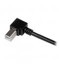 Cable usb tipo a ausb tipo b startech 2m - macho - macho - negro