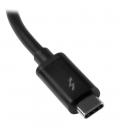 Adaptador thunderbolt 3 a thunderbolt 2 startech macho - hembra - negro