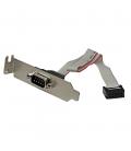 Placa para ranura serie m 9 pines startech a idc 10 pines macho - hembra