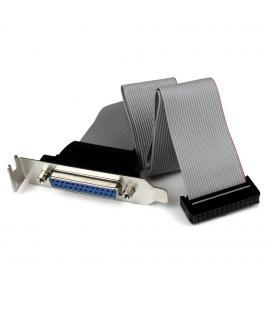 Adaptador paralelo db25 a idc26 startech 0.4m - hembra - hembra