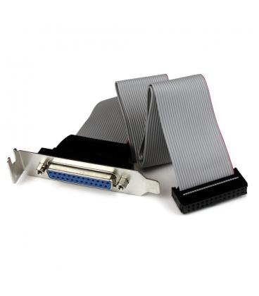 Adaptador paralelo db25 a idc26 startech 0.4m - hembra - hembra