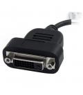 Adaptador displayport a dvi - d startech macho - hembra - negro