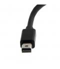Adaptador mini dp a dvi - d startech macho - hembra - negro