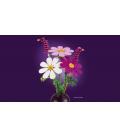 Lego flores de cosmos