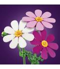 Lego flores de cosmos