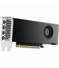Tarjeta grafica nvidia quadro rtx 2000 ada 16gb gddr6 - 4x mini dp pci express 4.0