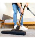 Aspirador de trineo cecotec conga powerbag 2500 plus