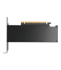 Tarjeta grafica pny rtx pro 2000 blackwell 16gb gddr7 - 4x mini dp pci express 5.0