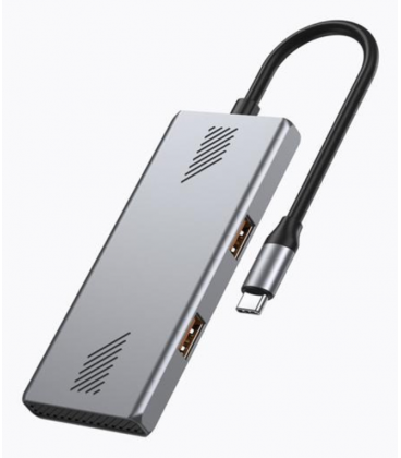 GEMBIRD UHB-CM-U310-A2C2-01 HUB USB-C