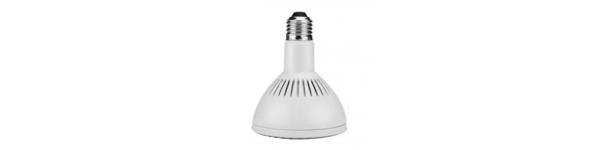 LED Light Bulbs