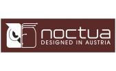 Noctua